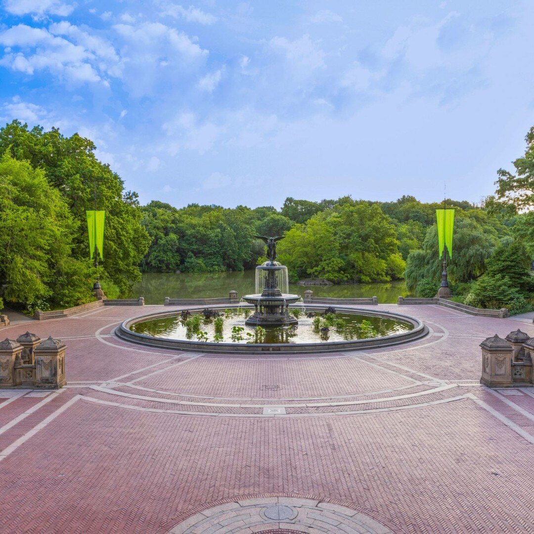 Central Park | The Belvedere Hotel