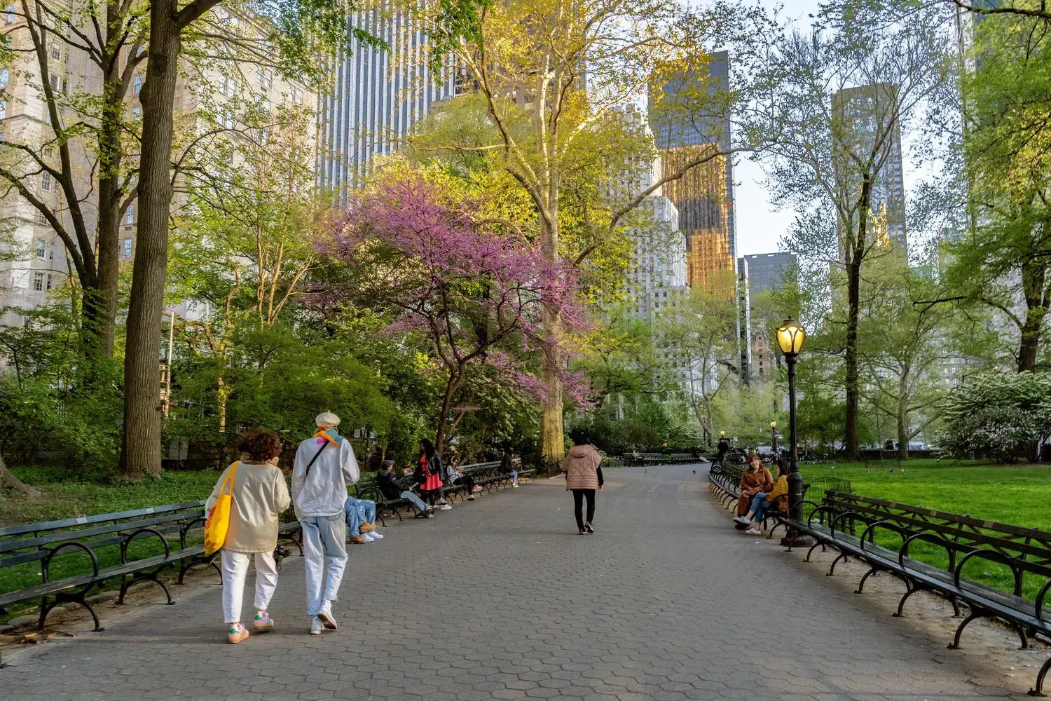 Central Park - Image by Enrico Della Pietra / Shutterstock.com