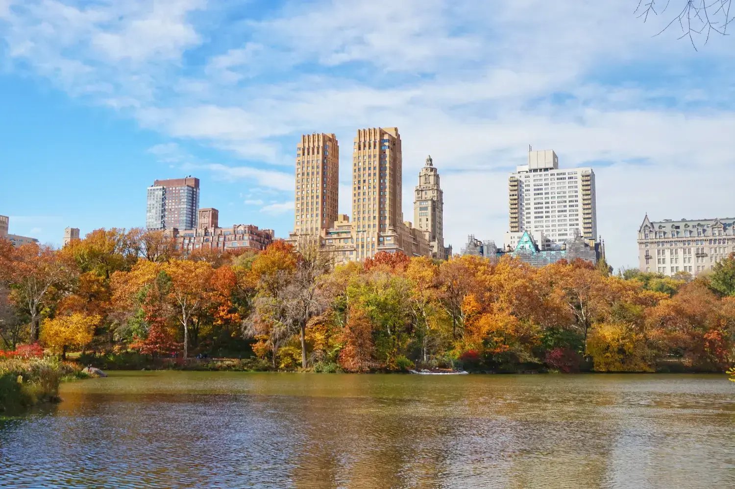 Central Park - Image by Mars C / Shutterstock.com